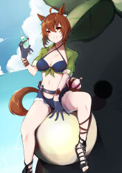 Rule 34 | 1girl, absurdres, agnes tachyon (lunatic lab) (umamusume), agnes tachyon (umamusume), ahoge, animal ears, bikini, bird, black bikini, black footwear, black gloves, blue shorts, breasts, brown eyes, brown footwear, brown hair, cleavage, commentary, day, denim, denim shorts, english commentary, feet, foot out of frame, gladiator sandals, gloves, green shirt, grin, highres, horse ears, horse girl, horse tail, kii-kun (agnes tachyon) (umamusume), knee up, large breasts, long hair, looking at viewer, micro shorts, navel, official alternate costume, open clothes, open fly, open shorts, outdoors, parted lips, sandals, seabird, seagull, shirt, short sleeves, shorts, sitting, sky, smile, solo, swimsuit, tail, teeth, toenails, toes, umamusume, yuuge ningen
