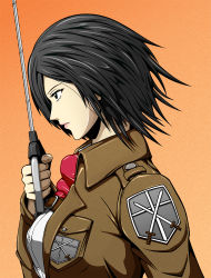 Rule 34 | asaruton, black eyes, black hair, mikasa ackerman, profile, scarf, shingeki no kyojin, short hair, solo, sword, weapon