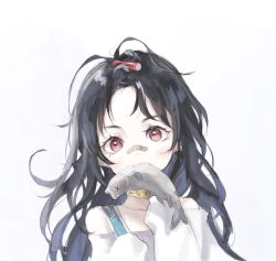 Rule 34 | 1girl, bandaid, bandaid on face, bandaid on nose, black hair, blush, c-ms (girls&#039; frontline), female focus, fish, girls&#039; frontline, highres, messy hair, mouth hold, nenena, red eyes, simple background, solo, white background