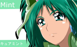 Rule 34 | 00s, 1girl, akimoto komachi, character name, cure mint, earrings, green eyes, green hair, haru (nature life), jewelry, long hair, magical girl, matching hair/eyes, portrait, precure, serious, solo, yes! precure 5