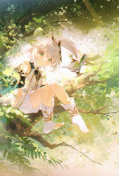 Rule 34 | 1girl, absurdres, bloomers, child, commentary request, cross-shaped pupils, dress, full body, genshin impact, green eyes, hair ornament, highres, in tree, kaeki, leaf hair ornament, nahida (genshin impact), outdoors, pointy ears, side ponytail, sitting, sitting in tree, smile, solo, stirrup footwear, sunlight, symbol-shaped pupils, toeless footwear, toeless legwear, tree, underwear, white bloomers, white dress, white hair
