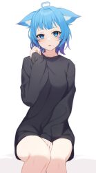 Rule 34 | 1girl, nanashi inc., ahoge, animal ears, black shirt, blue eyes, blue hair, commentary request, highres, long sleeves, looking at viewer, nishino eri, parted lips, shirt, short hair, simple background, sitting, solo, souya ichika, thighs, virtual youtuber, white background