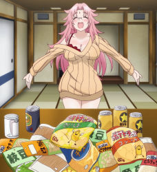 Rule 34 | 10s, 1girl, arahabaki nonko, beer can, bra, breasts, can, chips (food), cleavage, closed eyes, drink can, food, glasses, highres, indoors, long hair, pink hair, potato chips, screencap, snack, solo, sweater, underwear, yuragisou no yuuna-san