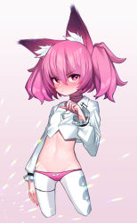 Rule 34 | 1girl, absurdres, animal ear fluff, animal ears, arknights, beudelb, blush, bow, bow panties, commentary, cowboy shot, cropped legs, cropped shirt, female focus, fox ears, gradient background, groin, hair between eyes, heart, heart-shaped pupils, highres, korean commentary, long hair, looking at viewer, lowleg, midriff, nail polish, no tail, panties, pantyhose, pink background, pink eyes, pink hair, pink nails, pink panties, scowl, shamare (arknights), shirt, simple background, solo, symbol-shaped pupils, thigh strap, twintails, underwear, v-shaped eyebrows, white pantyhose, white shirt