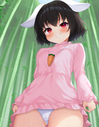 Rule 34 | 1girl, animal ears, bamboo, black hair, breasts, cameltoe, carrot necklace, cowboy shot, daichi (tokoya), dress, from below, grin, highres, inaba tewi, jewelry, looking at viewer, medium breasts, necklace, outdoors, pink dress, rabbit ears, red eyes, short hair, smile, solo, teeth, touhou, upskirt