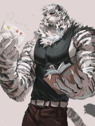 Rule 34 | 1boy, ?, animal ears, arknights, ashu monster, bara, black tank top, blue eyes, book, chain necklace, facial hair, furry, furry male, goatee, highres, holding, holding book, holding letter, jewelry, large hands, large pectorals, letter, looking at viewer, male focus, mountain (arknights), muscular, muscular male, neck fur, necklace, painterly, pectorals, scar, scar across eye, scar on arm, scar on face, short hair, sidepec, solo, tank top, thick eyebrows, tiger boy, tiger ears, v-taper, white fur, white hair