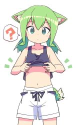 Rule 34 | 1girl, ?, animal ear fluff, animal ears, blue eyes, clothes lift, collarbone, cowboy shot, feet out of frame, female focus, green hair, highres, lifted by self, low twintails, original, roku no hito, shirt lift, shorts, simple background, solo, spoken question mark, tail, twintails, white background, white shorts