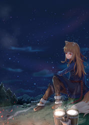 Rule 34 | 1girl, animal ears, blouse, blue shirt, fur-trimmed vest, fur trim, highres, holo, j.xh, long hair, outdoors, red eyes, shirt, sitting, solo, spice and wolf, star (sky), tail, vest, wolf ears, wolf tail
