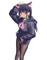 Rule 34 | 1girl, animal ears, arm up, black hair, black jacket, blue archive, blush, brown pantyhose, closed mouth, colored inner hair, drawstring, feet out of frame, female pubic hair, highres, hood, hood down, hooded jacket, jacket, kazusa (blue archive), long sleeves, looking at viewer, multicolored hair, no panties, no pants, pantyhose, photoshop (medium), pink hair, pubic hair, red hair, short hair, simple background, solo, standing, two-tone hair, white background, yizhirenben