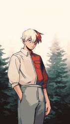 Rule 34 | 1boy, alternate costume, black eyes, blue eyes, boku no hero academia, burn scar, closed mouth, collared shirt, commentary, english commentary, fenkko, grey pants, hand in pocket, heterochromia, highres, long sleeves, looking at viewer, male focus, multicolored hair, outdoors, pants, pine tree, red hair, red shirt, scar, scar on face, shirt, shirt tucked in, short hair, solo, split-color hair, standing, todoroki shouto, tree, two-tone hair, two-tone shirt, white hair, white shirt