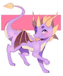 Rule 34 | blonde hair, blush, claws, closed mouth, dragon, drooling, fredek666, full body, happy, highres, horns, leg up, looking to the side, no humans, purple eyes, saliva, simple background, smile, solo, spikes, spyro (series), spyro the dragon, standing, tongue, tongue out, two-tone background, white background, wings