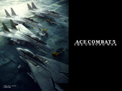 Rule 34 | ace combat, ace combat 5, aircraft, airplane, drop tank, f-14, jet, missile, multiple aircraft, official art, wardog squadron