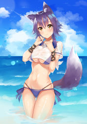 Rule 34 | 1girl, absurdres, animal ear fluff, animal ears, artist name, bad id, bad pixiv id, bikini, blue bikini, blue sky, breasts, brown eyes, closed mouth, cloud, cloudy sky, crop top, day, dongye, gluteal fold, groin, hand on own chest, hands up, highleg, highres, horizon, large breasts, looking at viewer, makoto (princess connect!), makoto (summer) (princess connect!), navel, ocean, outdoors, princess connect!, purple hair, see-through, shirt, short hair, short sleeves, side-tie bikini bottom, sky, solo, swimsuit, tail, thigh gap, wading, water, wet, wet clothes, wet shirt, wolf ears, wolf tail