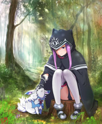 Rule 34 | 1girl, ass, black cape, black capelet, black gloves, black leotard, boots, cape, capelet, collar, fate/grand order, fate (series), forest, fou (fate), gloves, headpat, hood, leotard, long hair, medusa (fate), medusa (lancer) (fate), medusa (rider) (fate), nature, outdoors, picolette xiii, purple eyes, purple hair, rider, sitting, smile, thigh strap, thighhighs, tree stump, white thighhighs