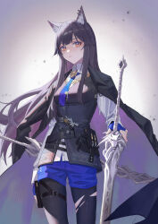 Rule 34 | 1girl, animal ears, areaaaron, arknights, bag, belt, black cape, black hair, black pantyhose, black vest, blue necktie, blue shorts, brown eyes, cape, closed mouth, fingerless gloves, gloves, hand on hilt, highres, long hair, long sleeves, looking at viewer, necktie, pantyhose, pouch, satchel, shorts, solo, standing, sword, texas (arknights), torn clothes, torn pantyhose, two-sided cape, two-sided fabric, very long hair, vest, weapon