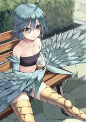 Rule 34 | 1girl, ahoge, bandeau, bare shoulders, bench, blue hair, blue wings, breasts, closed mouth, collarbone, commentary, day, denim, denim shorts, fagi (kakikaki), feathered wings, feathers, food, harpy, ice cream, ice cream cone, looking at viewer, monster girl, monster musume no iru nichijou, outdoors, papi (monster musume), revision, short hair, short shorts, shorts, sitting, smile, solo, strapless, talons, tube top, winged arms, wings