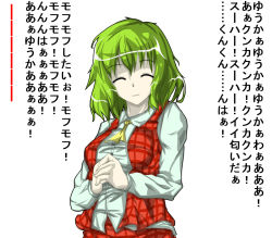 Rule 34 | 1girl, ascot, bad id, bad pixiv id, breasts, female focus, green hair, kazami yuuka, own hands together, sakura (end of showa), short hair, simple background, smile, solo, touhou, translation request, white background, yellow ascot