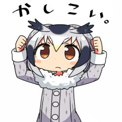 Rule 34 | 10s, 1girl, arms up, blush stickers, clenched hands, kanikama, kemono friends, light frown, lowres, northern white-faced owl (kemono friends), simple background, solo, translated, white background