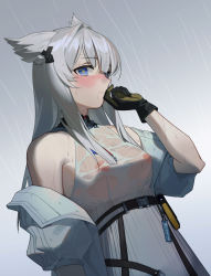 Rule 34 | 1girl, absurdres, airseal, animal ears, arknights, arknights: endfield, bare shoulders, belt, black gloves, blue eyes, blush, breasts, cat ears, closed mouth, cloud, cloudy sky, day, dress, gloves, grey jacket, hand up, highres, jacket, long hair, medium breasts, nipples, no bra, nose blush, off shoulder, open clothes, open jacket, outdoors, perlica (arknights), rain, see-through, short sleeves, silver hair, sky, solo, upper body, water, wet, wet clothes, wet dress, white dress