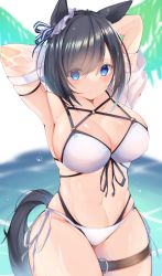 Rule 34 | 1girl, animal ears, armpits, arms behind head, arms up, bikini, black hair, blue eyes, breasts, cleavage, commentary request, cowboy shot, eishin flash (umamusume), highres, horse ears, jam (jamjam777), large breasts, navel, partial commentary, side-tie bikini bottom, solo, standing, stomach, swimsuit, tail, thigh strap, thighs, umamusume, white bikini