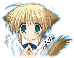 Rule 34 | 00s, 1girl, :o, ahoge, animal ears, artoria pendragon (all), artoria pendragon (fate), blonde hair, blouse, blush, dog ears, dog tail, fate/stay night, fate (series), green eyes, index fingers together, kemonomimi mode, looking at viewer, nekoneko, outline, own hands together, saber (fate), shirt, short hair, simple background, solo, tail, white background, white shirt