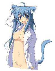 Rule 34 | 1girl, animal ears, blue eyes, blue hair, blush, bottomless, breasts, cat ears, cat tail, fang, hand on own head, long hair, matching hair/eyes, naked shirt, navel, nipples, oekaki, open clothes, open mouth, open shirt, shirt, sleepy, solo, tail, tears, white shirt, yawning