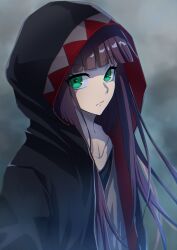 Rule 34 | 1girl, absurdres, adashino benio, black hair, black jacket, blunt bangs, closed mouth, collarbone, commentary request, expressionless, green eyes, grey background, highres, hood, hood up, hooded jacket, jacket, long hair, looking at viewer, nose, open clothes, open jacket, simple background, solo, sousei no onmyouji, straight hair, sumire 1046, upper body, very long hair