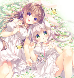 Rule 34 | 2girls, :o, animal, animal ears, bare arms, bare shoulders, blush, bow, braid, breasts, brown hair, bug, butterfly, center frills, collarbone, commentary request, detached sleeves, dog ears, dog girl, dog tail, dress, feet out of frame, field, flower, flower field, frills, green eyes, grey hair, hair between eyes, hair ribbon, insect, knees up, long hair, lying, medium breasts, multiple girls, on back, original, parted lips, puffy short sleeves, puffy sleeves, rabbit ears, red eyes, red ribbon, ribbon, short sleeves, small breasts, tail, very long hair, white bow, white dress, white flower, white ribbon, white sleeves, yukie (peach candy)