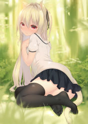 Rule 34 | 1girl, animal ears, blurry, blurry background, blush, breasts, cat ears, feet, forest, hair between eyes, highres, long hair, looking at viewer, nature, no shoes, original, outdoors, pleated skirt, red eyes, shirt, shokuyou mogura, short sleeves, sitting, skirt, small breasts, smile, solo, tail, two side up, white hair, white shirt