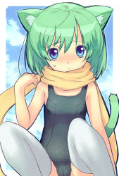 Rule 34 | 1girl, animal ears, arumi, black one-piece swimsuit, blue eyes, cameltoe, cat ears, cat tail, green hair, one-piece swimsuit, scarf, school swimsuit, solo, swimsuit, tail, thighhighs, yellow scarf