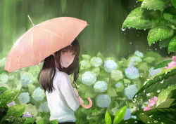 1girl absurdres back black_hair brown_eyes female_focus flower highres hydrangea long_hair looking_at_viewer looking_back original outdoors rain romiy shirt sketch solo umbrella water_drop white_shirt