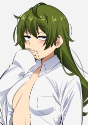 Rule 34 | 1girl, alternate costume, alternate hairstyle, blush, breasts, commentary request, dress shirt, green hair, hair down, hand up, highres, long hair, long sleeves, looking at viewer, messy hair, open clothes, open shirt, purple eyes, sakura 1110ssmm, shirt, sideboob, sleeves past wrists, solo, sousou no frieren, sweatdrop, ubel (sousou no frieren), upper body, white shirt