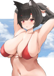Rule 34 | 1girl, :o, absurdres, animal ear fluff, animal ears, armpits, arms behind head, arms up, azur lane, bare shoulders, bikini, black hair, black shirt, blue sky, blush, breasts, cat ears, cleavage, clothes lift, cloud, collarbone, commentary, fang, hair between eyes, halterneck, highres, large breasts, letterboxed, looking at viewer, navel, neneneji, official alternate costume, outdoors, outside border, parted lips, red bikini, red eyes, shirt, shirt lift, short hair, skindentation, sky, solo, stomach, string bikini, swimsuit, undressing, upper body, yamashiro (azur lane), yamashiro (vacation offensive!) (azur lane)