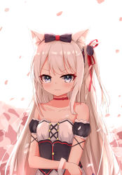 Rule 34 | 1girl, absurdres, animal ears, azur lane, bare shoulders, bow, breasts, cat ears, cat hair ornament, cleavage, collarbone, commentary request, detached sleeves, grey eyes, hair bow, hair ornament, hair ribbon, hammann (azur lane), highres, long hair, looking at viewer, meng mian, one side up, petals, retrofit (azur lane), ribbon, sidelocks, simple background, small breasts, solo, tears, wavy mouth, white background, white hair, wrist cuffs