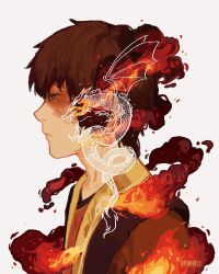 Rule 34 | 1boy, artist name, avatar: the last airbender, avatar legends, black hair, burn scar, closed mouth, commentary, dragon, eastern dragon, english commentary, fire, from side, highres, litarnes, long sleeves, male focus, scar, scar across eye, scar on face, short hair, solo, zuko