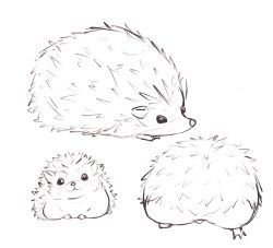 Rule 34 | :3, animal, animal focus, ass, closed mouth, commentary, drawing, hedgehog, ito (itokayu), looking at viewer, no humans, original, simple background, spiked hair, white background