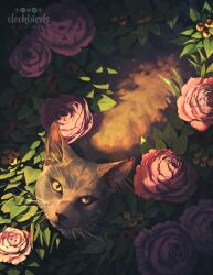 Rule 34 | animal focus, artist name, cat, clockbirds, commentary, commission, english commentary, flower, from above, grey cat, highres, leaf, light particles, looking at viewer, looking up, nature, no humans, original, photoshop (medium), pink flower, pink rose, rose, slit pupils, solo, sunlight, sunset, watermark, whiskers, yellow eyes