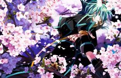 Rule 34 | 00s, 1boy, asrhion, cherry blossoms, flower, gloves, green eyes, green hair, in tree, jacket, male focus, matching hair/eyes, petals, solo, sync (tales), tales of (series), tales of the abyss, tree