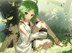 Rule 34 | 1girl, ahoge, closed mouth, collarbone, dappled sunlight, dress, elf, falling leaves, flat chest, foot out of frame, from above, green hair, head tilt, highres, knee up, leaf, looking at viewer, mushoku tensei, off shoulder, outdoors, pointy ears, red eyes, robe, scottie (phantom2), short hair, sitting, smile, solo, staff, sunlight, sylphiette (mushoku tensei), tree, white dress, white robe