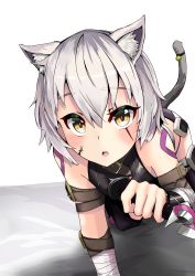 Rule 34 | 1girl, :o, absurdres, all fours, animal ears, bandaged arm, bandages, bare shoulders, bell, black panties, cat ears, cat tail, commentary request, dagger, fate/apocrypha, fate (series), green eyes, hair between eyes, highres, holding, holding dagger, holding knife, holding weapon, jack the ripper (fate/apocrypha), jtleeklm, knife, looking at viewer, open mouth, panties, scar, scar across eye, scar on face, short hair, silver hair, solo, tail, tail bell, tail ornament, teeth, thighhighs, underwear, upper teeth only, weapon