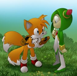 Rule 34 | 1boy, 1girl, animal ear fluff, animal ears, backpack, bag, bleedman, blue eyes, closed mouth, colored skin, cosmo (sonic), crossover, fox boy, furry, furry male, gloves, green skin, highres, holding scanner, no humans, on ground, orange fur, outdoors, sonic (series), sonic x, standing, tails (sonic), white gloves