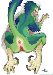 Rule 34 | 1girl, anus, aqua eyes, back, bird, claws, fangs, feathers, from behind, furry, furry female, open mouth, pussy, solo, tail, tongue, trancy mick