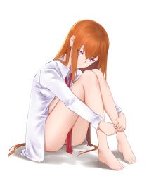 Rule 34 | 1girl, ass, bad id, bad pixiv id, bare legs, barefoot, breasts, brown hair, closed mouth, collared shirt, commentary, feet, hair between eyes, highres, hugging own legs, jilu, long hair, long sleeves, makise kurisu, necktie, purple eyes, red necktie, shadow, shirt, small breasts, solo, steins;gate, toes, very long hair, white background, white shirt