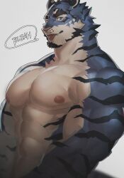 Rule 34 | 1boy, :p, abs, bara, blue eyes, blue fur, english text, facial hair, fangs, from side, furry, furry male, goatee, highres, large pectorals, looking at viewer, male focus, mature male, muscular, muscular male, neumo, nipples, nude, original, pectorals, short hair, sideways glance, solo, speech bubble, thick eyebrows, tiger boy, tongue, tongue out