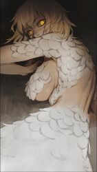 Rule 34 | 1girl, back, blonde hair, breasts, chimera, claws, dark background, dungeon meshi, falin touden, falin touden (chimera), feathers, glaring, highres, large breasts, looking back, morry, short hair, slit pupils, solo, spoilers, upper body, white feathers, yellow eyes