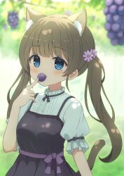 Rule 34 | 1girl, absurdres, animal ears, blue eyes, blurry, blurry background, blush, brown hair, cat ears, cat girl, cat tail, dappled sunlight, dress, eating, flower, food, frilled sleeves, frills, fruit, grapes, hair flower, hair ornament, highres, index finger raised, indie virtual youtuber, itigori ena, long hair, looking at viewer, mole, mole under eye, neck ribbon, open mouth, outdoors, puffy short sleeves, puffy sleeves, ribbon, sash, short sleeves, sleeve ribbon, solo, sunlight, tail, tree, twintails, tyakomis, very long hair, virtual youtuber