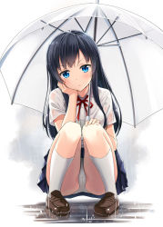Rule 34 | 1girl, black hair, blue eyes, breasts, commentary request, dress shirt, full body, hand on own cheek, hand on own face, hand on own knee, head tilt, hyuuga azuri, kneehighs, knees together feet apart, loafers, long hair, looking at viewer, medium breasts, original, panties, pants, pantyshot, pigeon-toed, rain, red ribbon, reflection, ribbon, school uniform, see-through, shirt, shoes, sidelocks, sitting, skirt, socks, solo, squatting, transparent, transparent umbrella, umbrella, underwear, water drop, wet, wet clothes, white panties, white socks