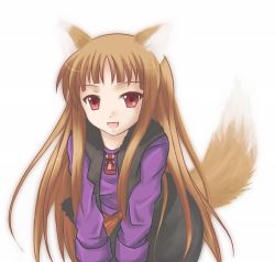 Rule 34 | 00s, animal ears, holo, lowres, solo, spice and wolf, tail, wolf ears, wolf tail, yuizaki hizumi