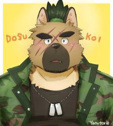 Rule 34 | 1boy, animal ears, blush, brown hair, dog boy, facial hair, fang, furry, furry male, jewelry, male focus, manly, muscular, necklace, pectorals, scar, simple background, solo, tokyo houkago summoners, upper body, yanutorie, yasuyori (housamo)