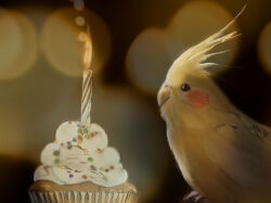 Rule 34 | animal focus, beak, bird, black eyes, candle, cockatiel, commentary, cream, cupcake, fire, food, food focus, from side, highres, lens flare, lens flare abuse, looking at object, no humans, original, parrot, shiropooo, sprinkles, yellow bird